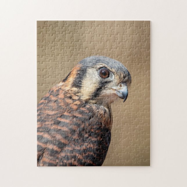 American Kestrel Jigsaw Puzzle (Vertical)