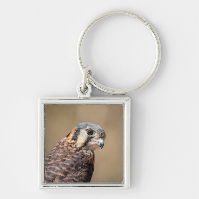 American Kestrel Key Ring (Front)