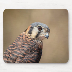 American Kestrel Mouse Pad