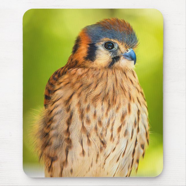 American Kestrel Mouse Pad | Falcon Wildlife Decor (Front)