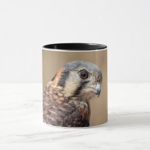 American Kestrel Mug