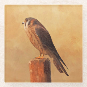 American Kestrel Painting - Original Bird Art Glass Coaster