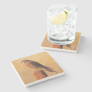 American Kestrel Painting - Original Bird Art Stone Coaster