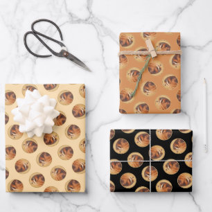 American Kestrel Painting Original Wild Bird Art Wrapping Paper Sheet