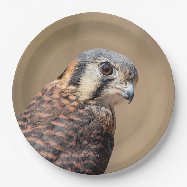 American Kestrel Paper Plate (Front)