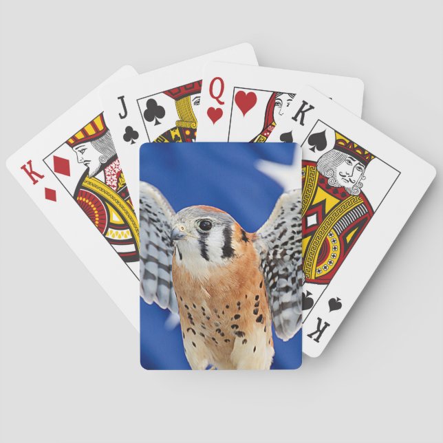 American Kestrel Playing Cards (Back)