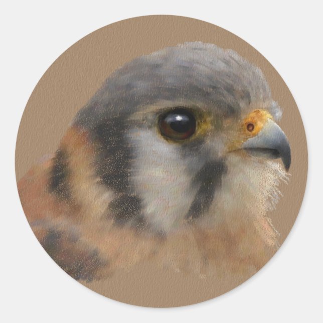 American Kestrel Portrait Classic Round Sticker (Front)