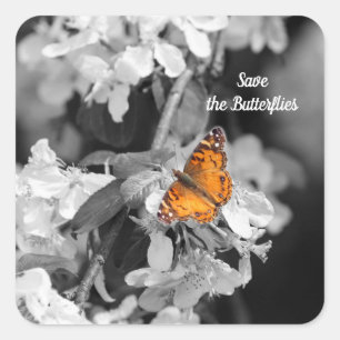 American Lady Butterfly On Apple Blossom Stickers