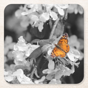 American Lady Butterfly On Blossom Paper Coaster