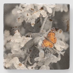 American Lady Butterfly On Blossom Stone Coaster