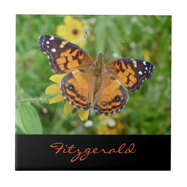 American Lady Butterfly - Vanessa virginiensis Tile (Front)