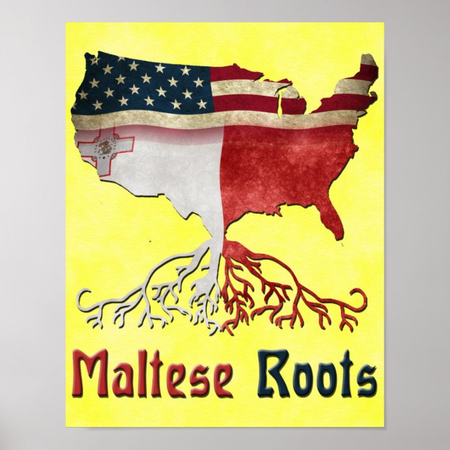 American Maltese Roots Poster Print (Front)