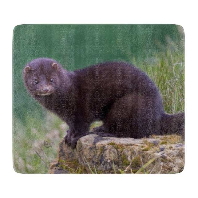 American Mink Rectangular Cutting Board (Front)