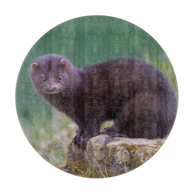 American Mink Round Cutting Board (Front)