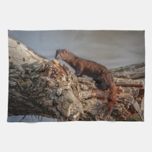 American Mink Tea Towel