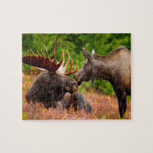 American Moose Jigsaw Puzzle