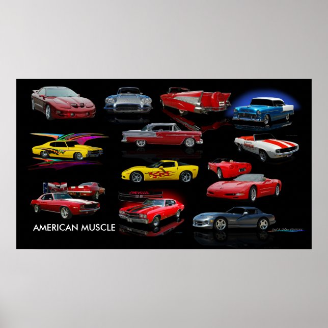 AMERICAN MUSCLE POSTER (Front)