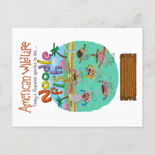 American Noodle Fish  Postcard
