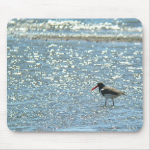 American Oystercatcher Mousepad