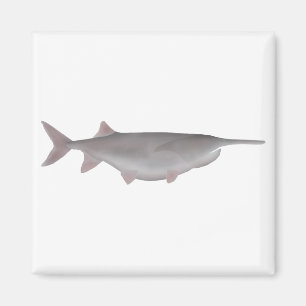 American Paddlefish Magnet
