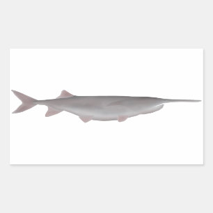 American Paddlefish Rectangular Sticker
