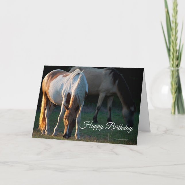 American Paint Horse Birthday Card (Front)