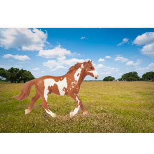 American Paint Horse T-Shirt