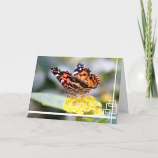 American Painted Lady Butterfly Blank Notecard