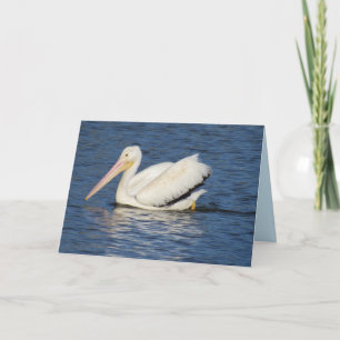 American Pelican Greeting Card