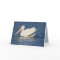 American Pelican Greeting Card