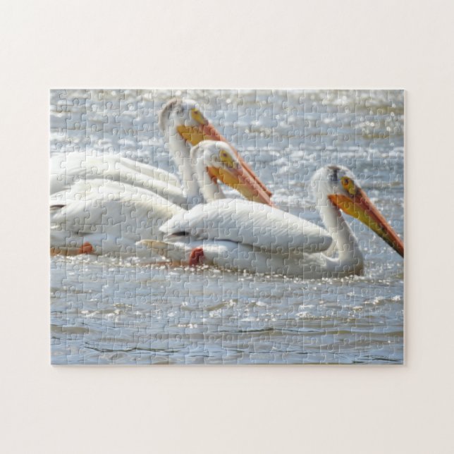 American Pelicans Swimming in the Mississippi Rive Jigsaw Puzzle (Horizontal)