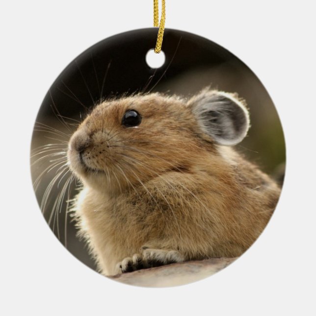 American Pika Ceramic Tree Decoration (Front)