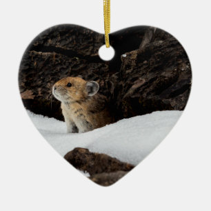 American Pika in the Snow with Heart-Shaped Cerami Ceramic Tree Decoration