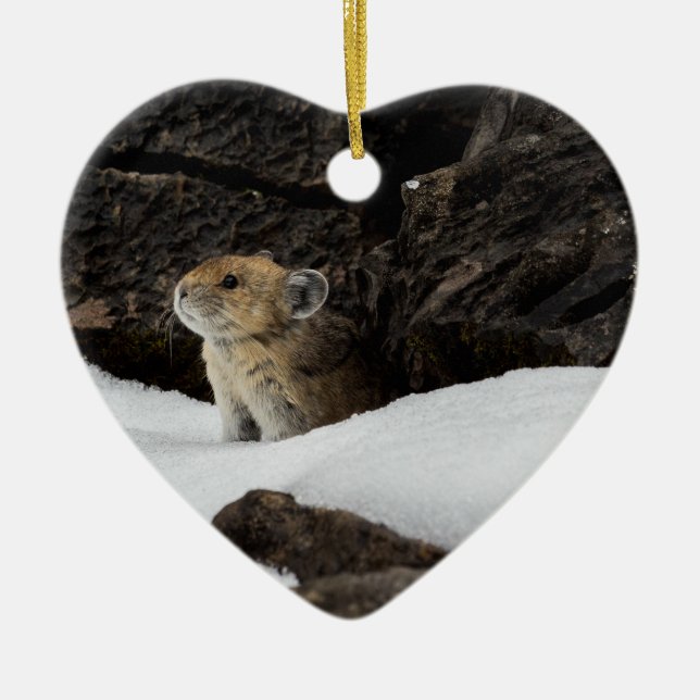 American Pika in the Snow with Heart-Shaped Ceramic Tree Decoration (Front)