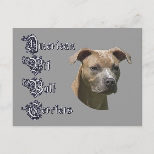 American Pit Bull Terrier (APBT) Postcard (Front)