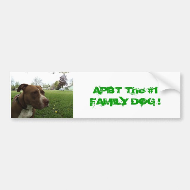 American Pit Bull Terrier Bumper Sticker (Front)