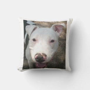 american pit bull terrier cushion