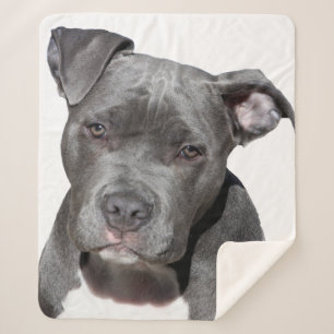 American Pit Bull Terrier Sherpa Blanket