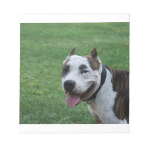 american pit bull terrier smiling notepad