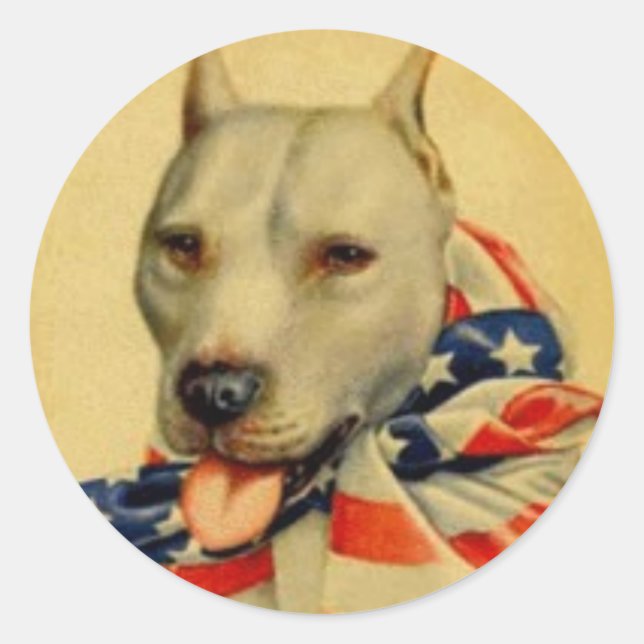 AMERICAN PIT BULL TERRIER STICKER (Front)