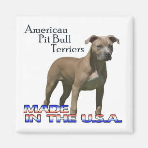 American Pit Bull Terriers : Square Magnet