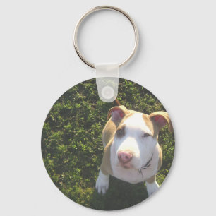 american PitBull terrier Looking Up Key Ring