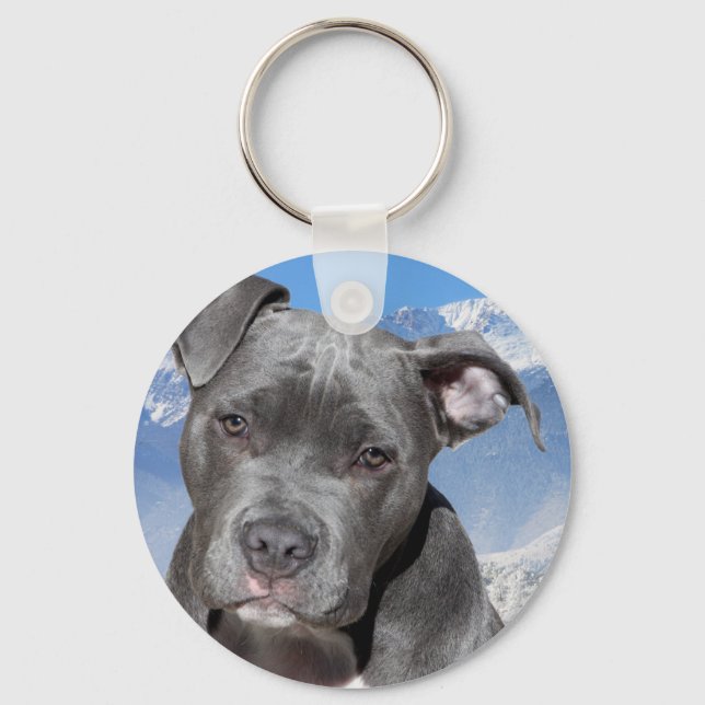American Pitbull Terrier Puppy Dog Key Ring (Front)