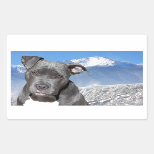American Pitbull Terrier Puppy Dog Rectangular Sticker