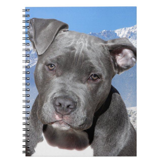 American Pitbull Terrier Puppy Dog Spiral Notebook (Front)