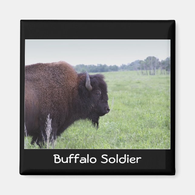 American Plains Buffalo Bison Magnet (Front)