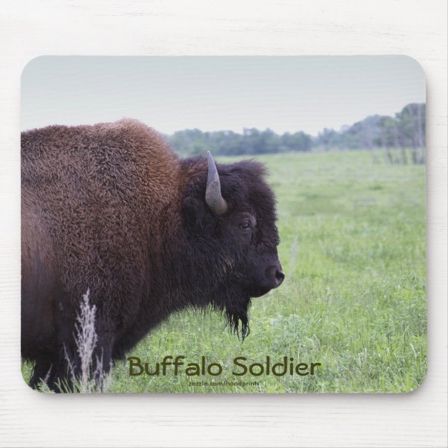 American Plains Buffalo Bison Mousepad (Front)