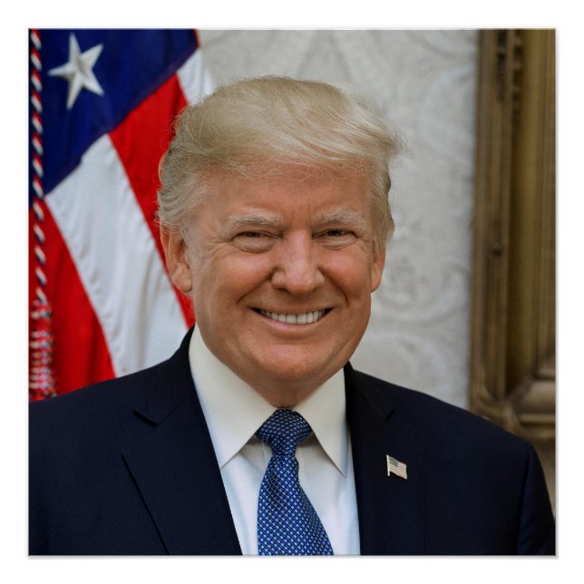American President Donald Trump White House Poster (Front)