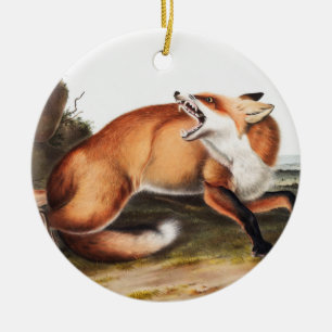 American Red Fox (Vulpes Fulvus) Illustration Ceramic Tree Decoration