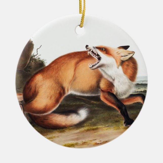 American Red Fox (Vulpes Fulvus) Illustration Ceramic Tree Decoration (Front)